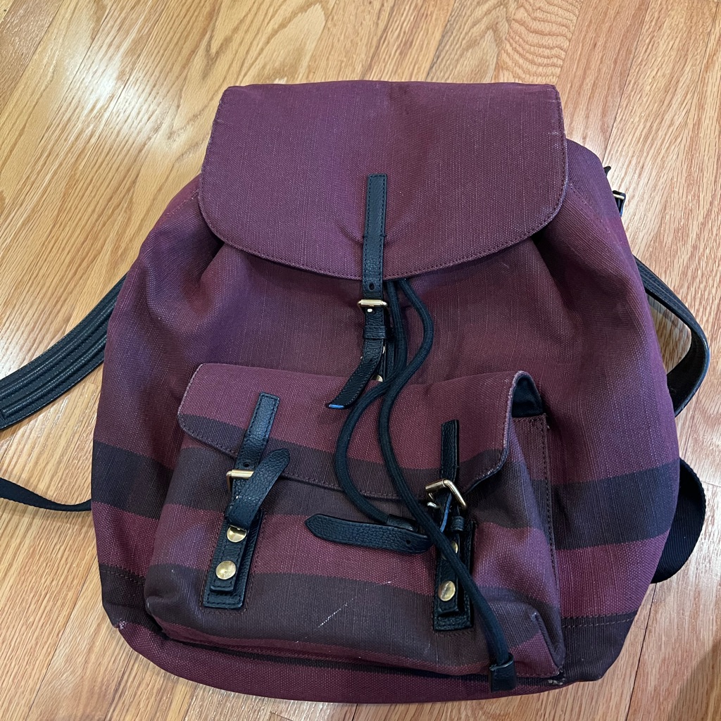 Burberry Burgundy And Black Stripe Canvas Backpack
